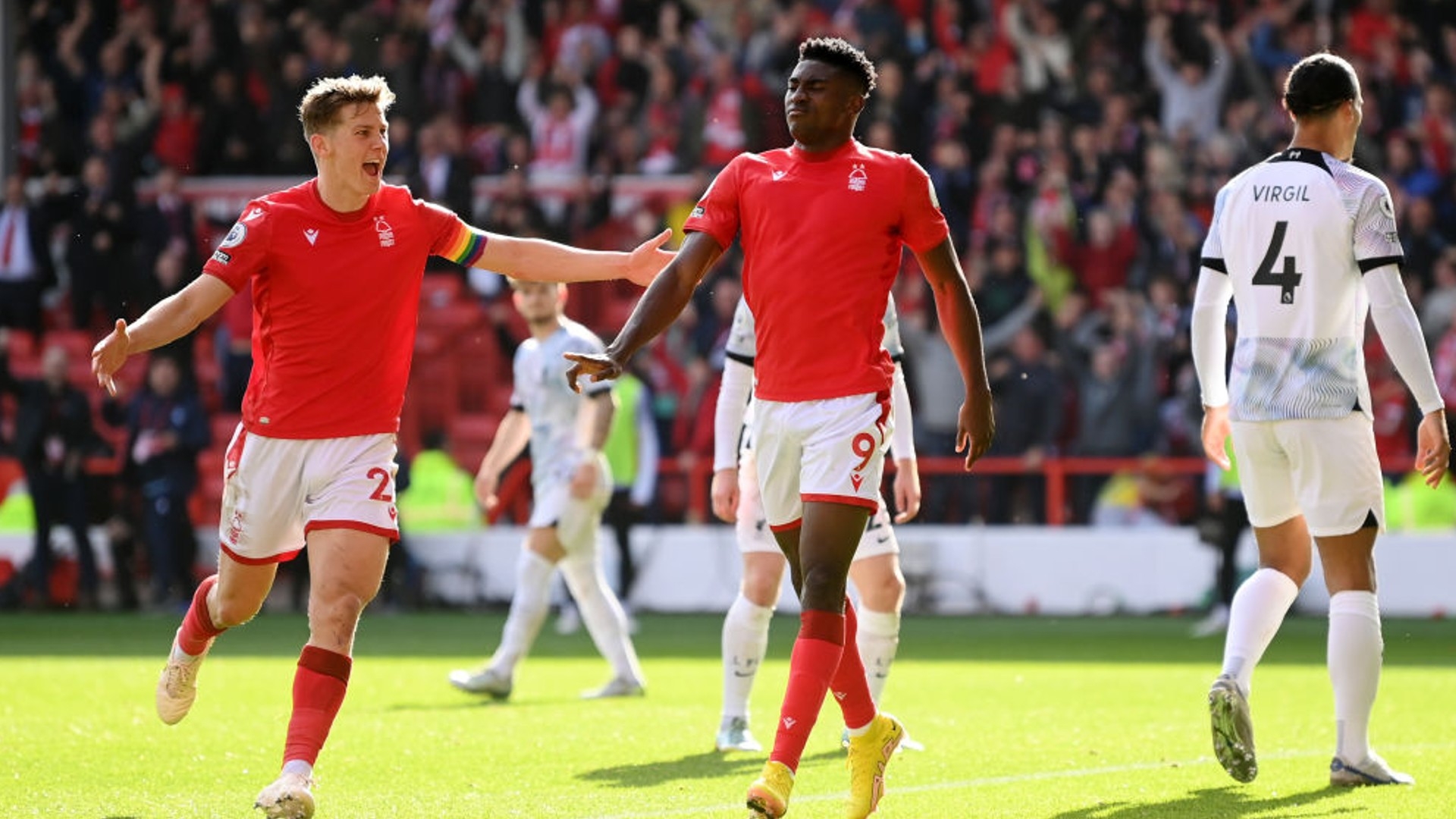 的多样性 的多样性