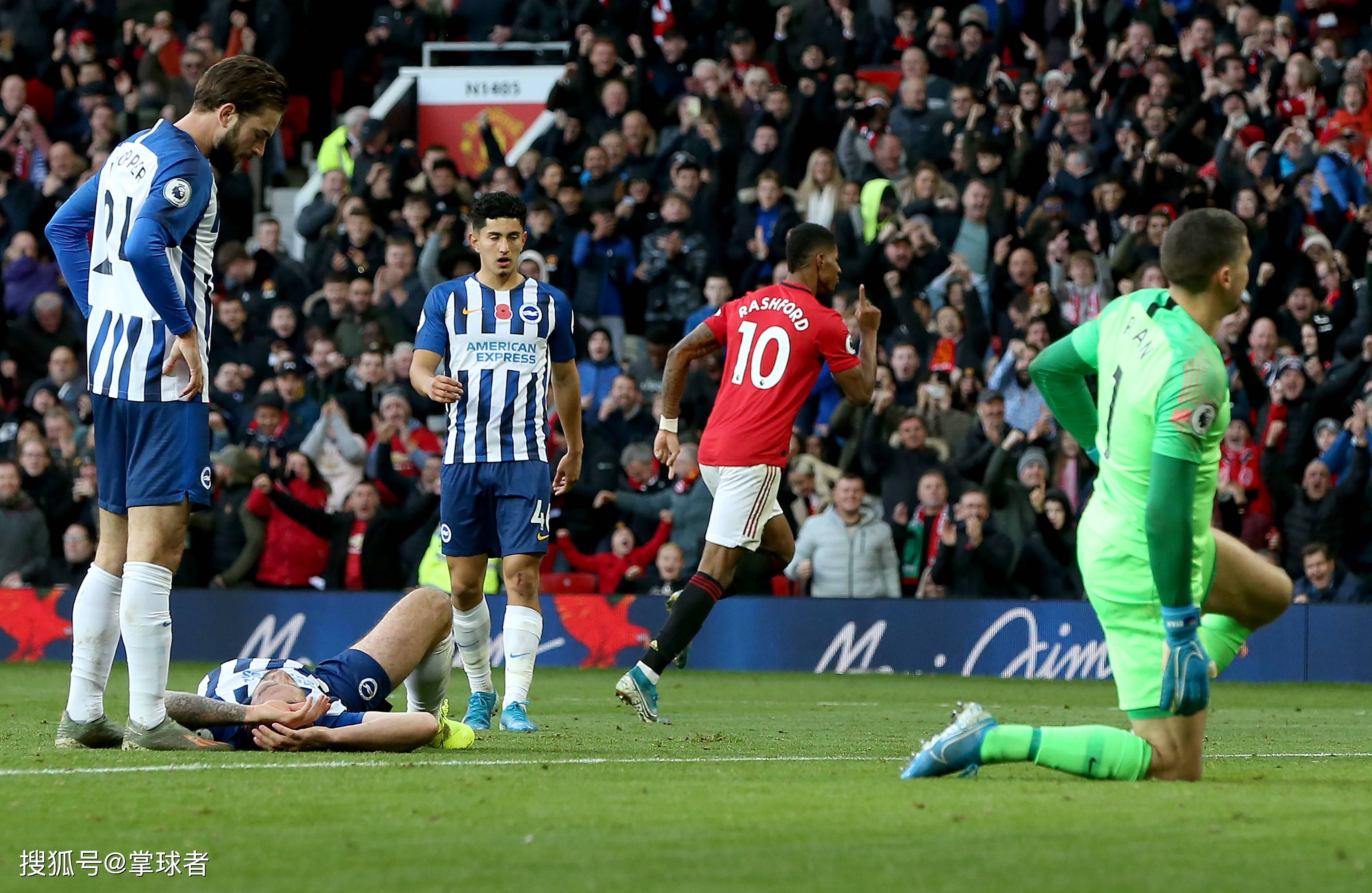 玫瑰绽放 玫瑰绽放